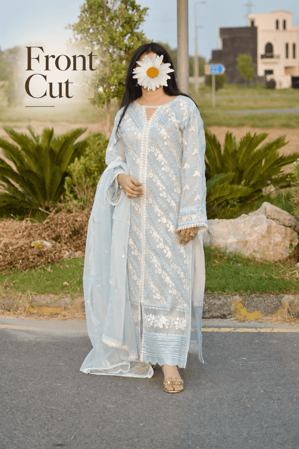 Frozen - 3pc Premium Soft Organza - Heavily Embroidered - Musaya